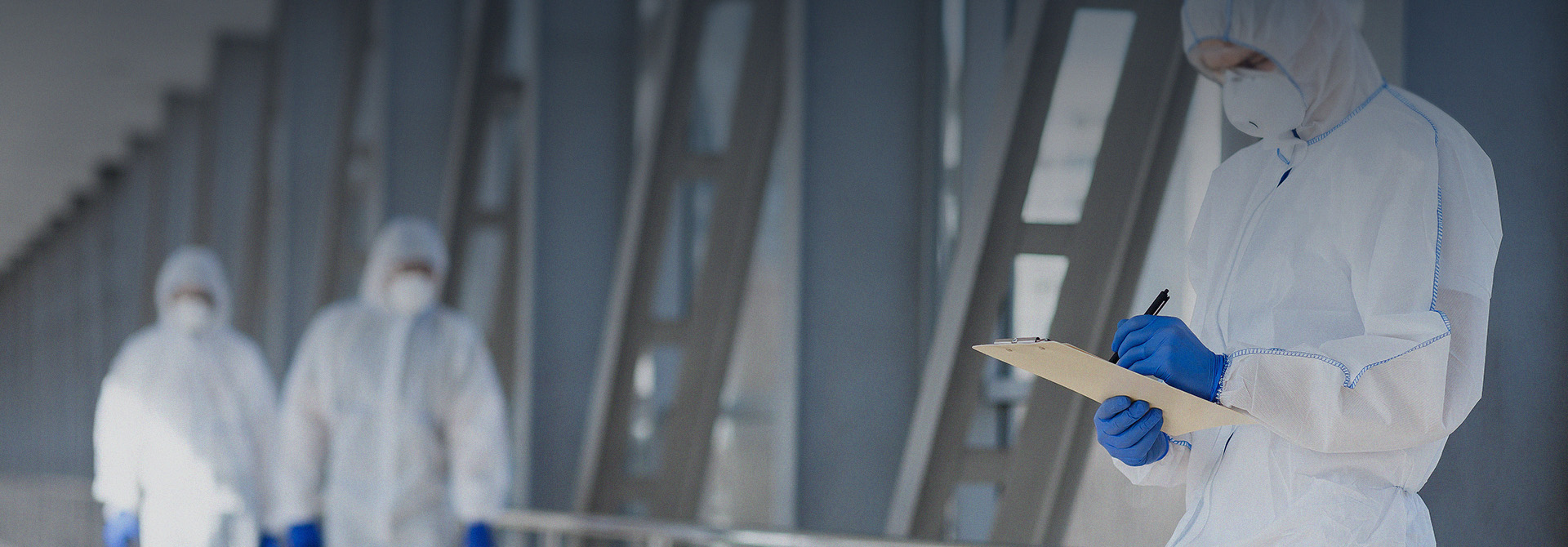 虫害找 • 洁众虫控