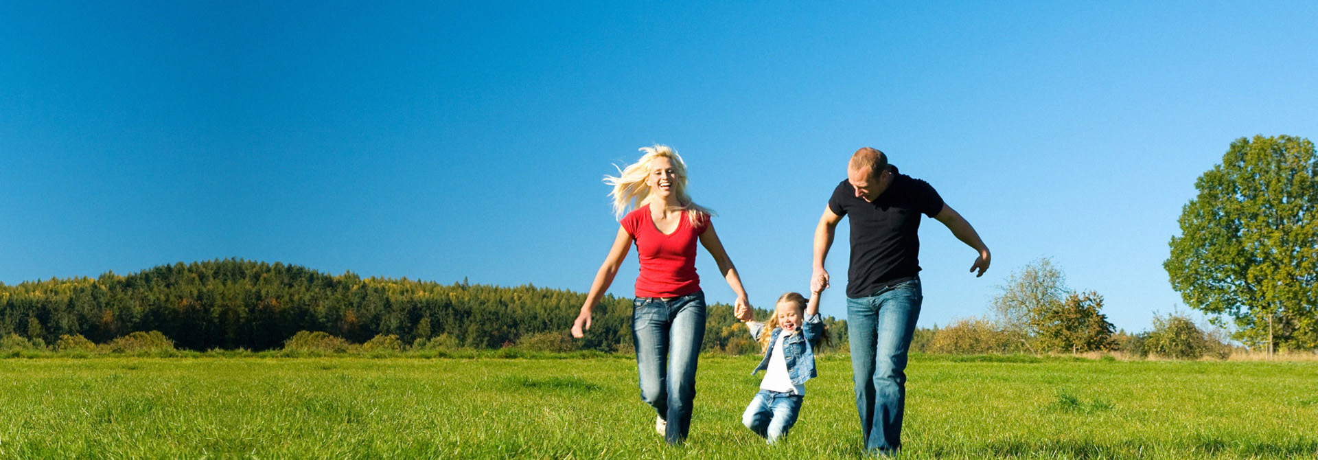 虫控选 • 洁众虫控