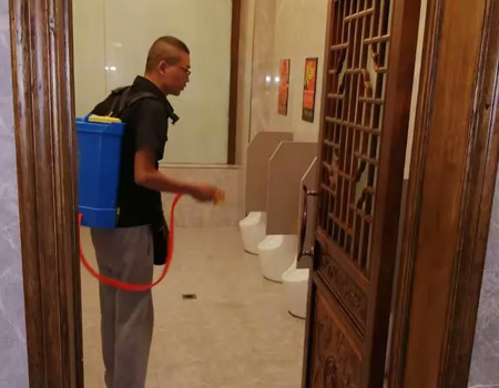 酒店客房虫控案例